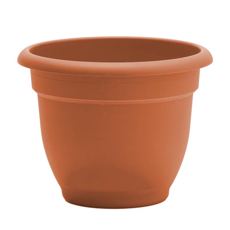 Bloem Ariana 13.75 in. H X 17.75 in. W X 17.75 in. D Plastic Traditional Planter Terracotta 20-56116