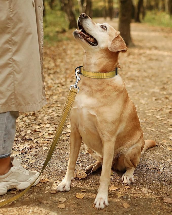 TagME Reflective Nylon Dog Collars, Adjustable Classic Collar with Quick Release Buckle for Large Dogs, Khaki, 1.0" Width