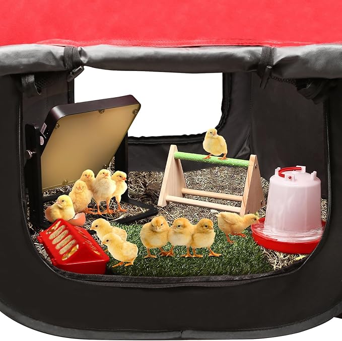 Brooder Box for Chick Starter Kit - 2025 Upgrade Dual Door Chicken Brooder Pen/Playpen/Tent with 10*10 in Brooder Heating Plate,Nesting Pad,Chicks Feeder&Waterer,Chick Perch Up to 15 Chicks,Duck,Quail