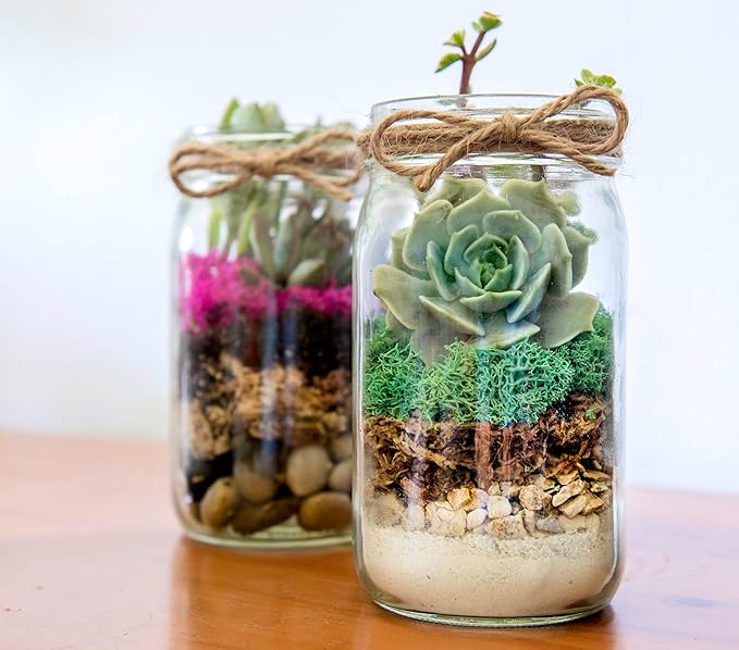 SuperMoss (90410) Terrarium Jar DIY Kit – Build Your Own Mini Garden in a Jar, Idea for Budding Gardeners, Creative Kids & Plant Lovers of All Ages, 32oz, Laguna