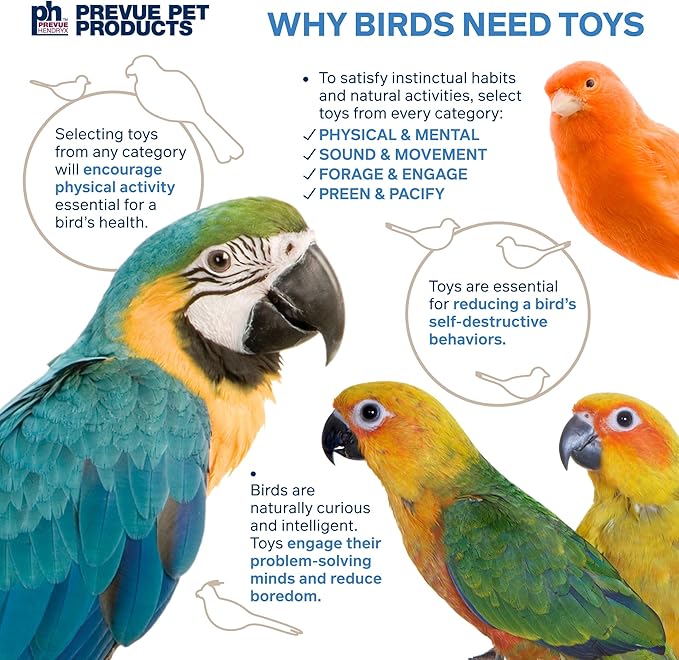 Prevue Pet Products Wholesome Naturals 4 Piece Bird Toy Bundle