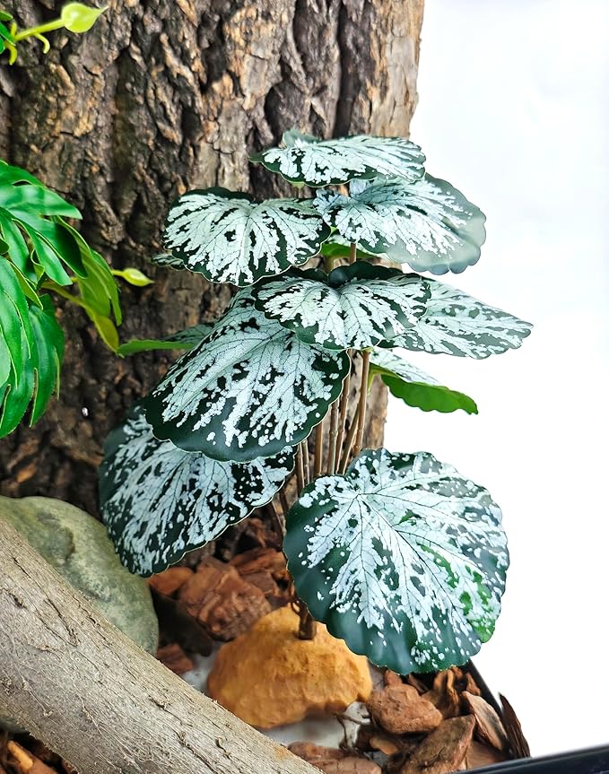 Woyrise Reptile Artificial Plants for Terrarium Decor, Amphibian Habitat Decorations Bearded Dragon Tank Accessories fit Crested Gecko Leopard Lizard Chameleon Snake Frog - Fake Spots Heuchera
