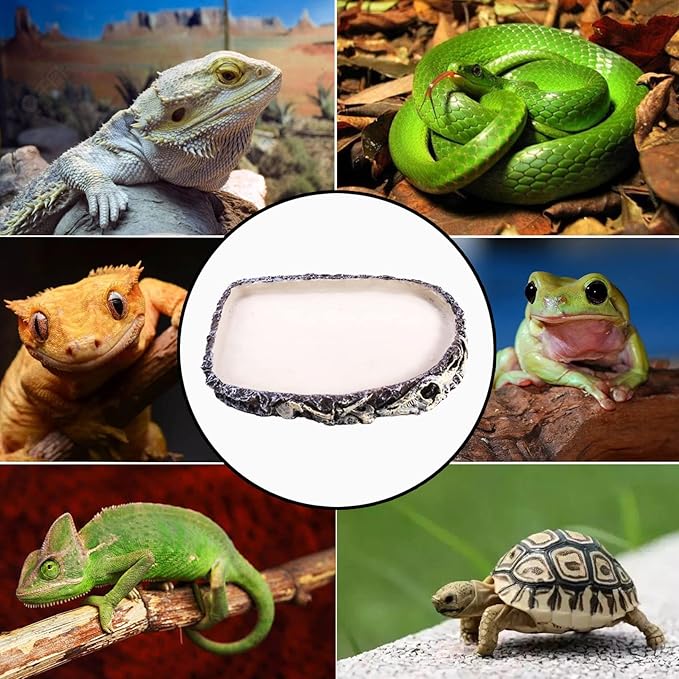 Tfwadmx 2 Pack Reptile Water Bowl, Reptile Feeding Dish, Bearded Dragon Water Dish, Turtle Feeding Bowl for Tortoises, Snakes, Lizards, Geckos, Chameleons