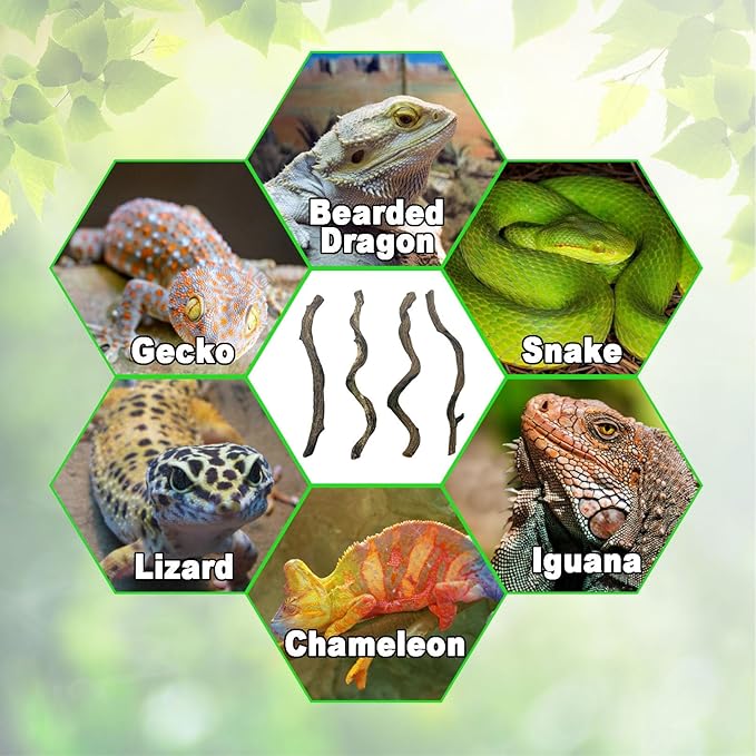 BNOSDM Reptile Forest Climbing Branch Decor Crested Gecko Climb Wood Natural Branches Tree for Snake Frog Chameleon Spider Bearded Dragon Terrarium Habitat Tank Accessories,4PCS
