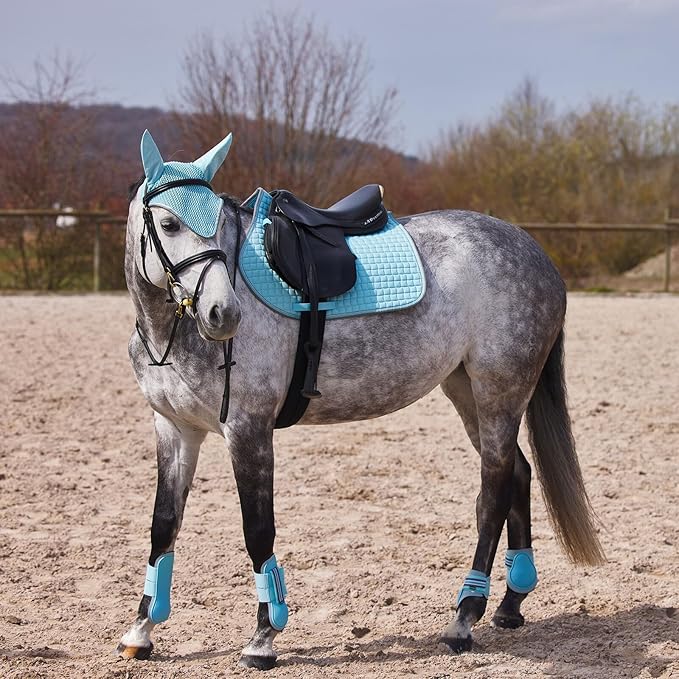 HORZE Adepto Open Front Tendon Boots | Durable Shell with Neoprene Lining - Canal Blue - Warmblood