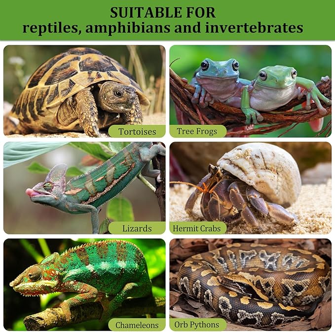 Riare 2LBS Expanded Clay Balls Terrarium Substrate for Reptiles - 100% Organic Lightweight Clay Pebbles Substrate Frogs False Bottom Substrate, Bioactive Terrarium Substrate for Drainage and Moisture