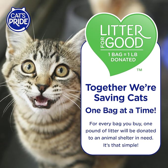 Cat's Pride Premium Lightweight Clumping Litter: Pure & Fresh - Up to 10 Days of Powerful Odor Control - Multi-Cat, Scented, 18 Pounds