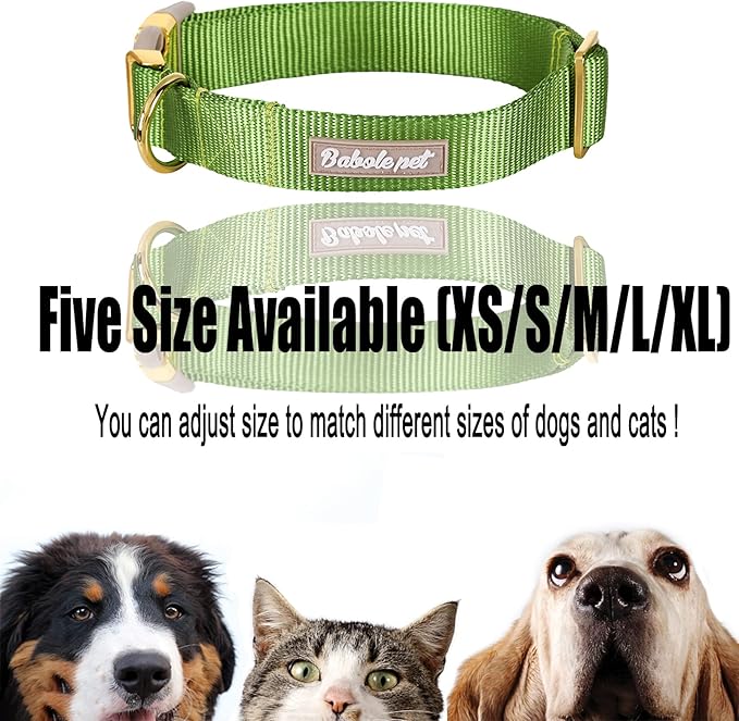 Nylon Dog Collar - Adjustable Green Soft Webbing Dog Collars for Small Medium Large Dogs Boy Girl Puppy Collar with Safety Metal Buckle XS