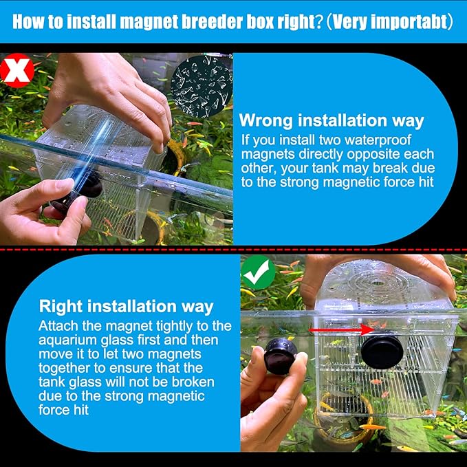 Magnetic Fish Breeder Box for Isolation Boxes (4.71 Inch with 2 Divider(Sealed Bottom Version))