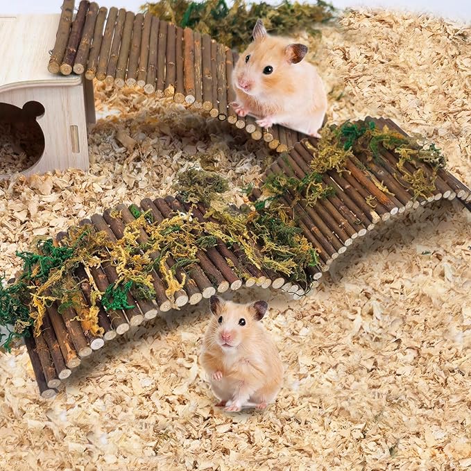 PINVNBY 2 PCS Hamster Toys, Wooden Hamster Ladder Bridge Tunnel Hide, Guinea Pigs Cage Accessories Natural Hideout for Small Animals Chinchillas Guinea Pigs Mouse Rat Ferret Rodents