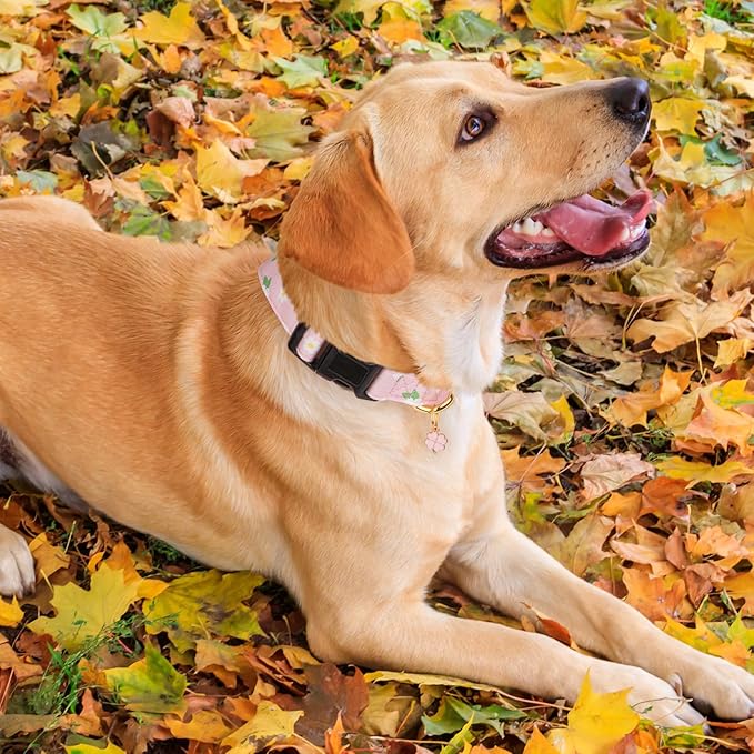 Cotton Handmade Dog Collar Cute and Distinctive Patterns Pink Flower with Pendant for Girl Boy Dogs Collars M