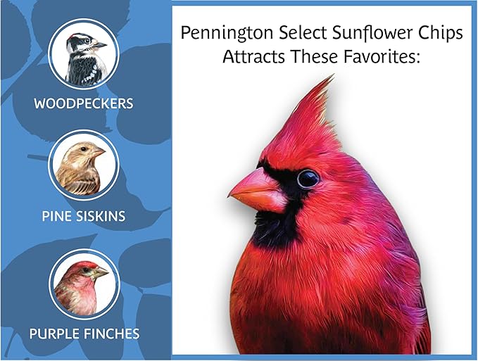 Pennington Select Sunflower Chips 15lb