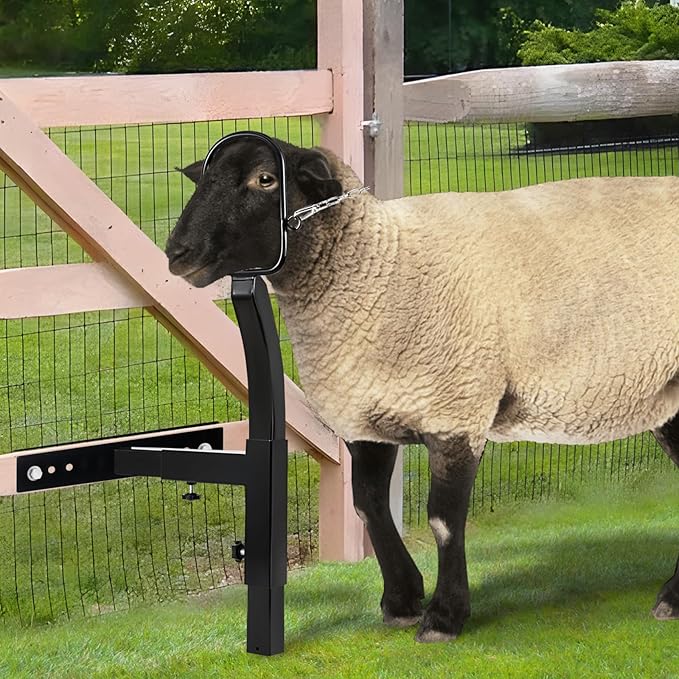 Livestock Stand 9.8 inch Height Adjustable, Goat Stand 5.9 inch Length Adjustable,Metal Livestock Stand Attachment Nose Loop Headpiece, Trimming Stand for Goat & Sheep.