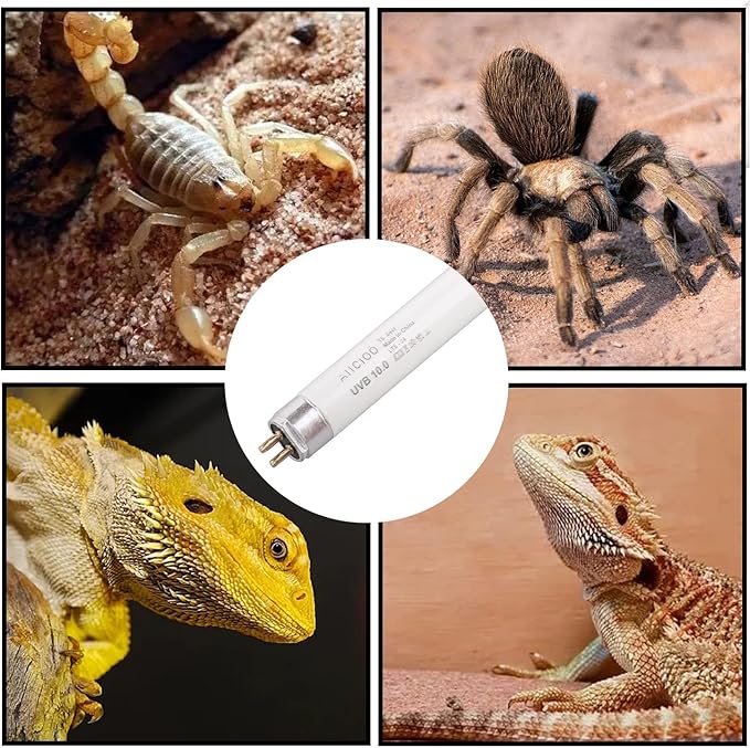 Aiicioo 2 Pack T5 HO 10.0 Reptile UVB Light 24W - Desert 22" UVA UVB Fluorescent Lamp Tube UVB Lighting Bulb for Tortoises Lizard Bearded Dragon Chameleon Turtles