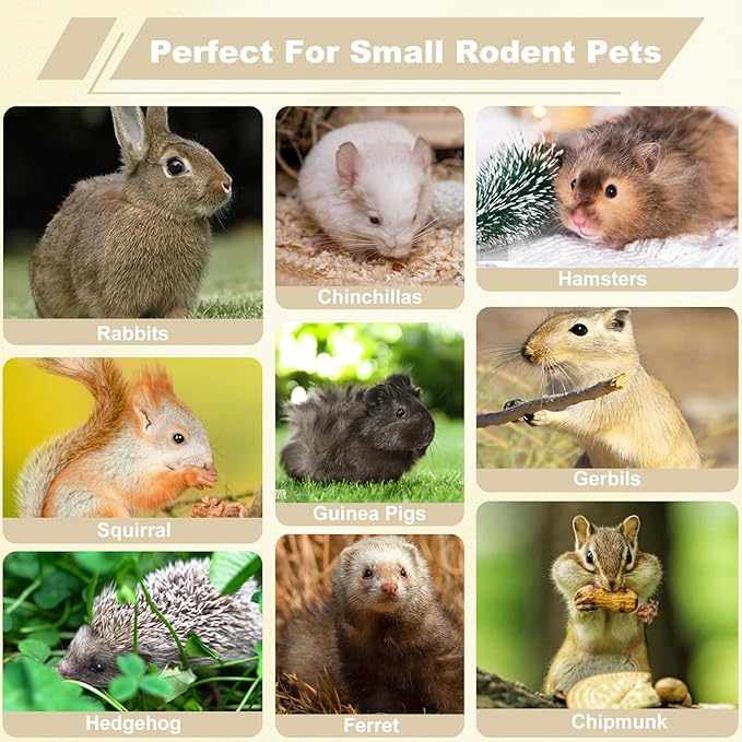 500g Organic Apple Sticks Small Animals Molar Wood Treats Chew Toys for Chinchillas Rabbits Guinea Pig Hamster Gerbil Parrot Bunny Chews Stick Toys