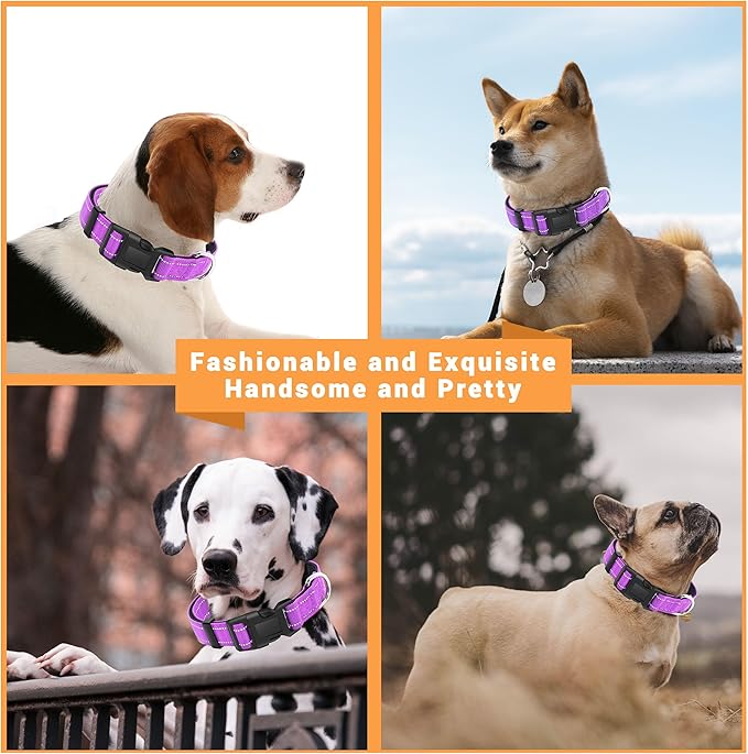 2 Pack Reflective Dog Collar with Safety Locking Buckle, Adjustable Soft Breathable Comfortable Nylon Pet Collar for Small, Medium and Large Dogs, Rosered, L