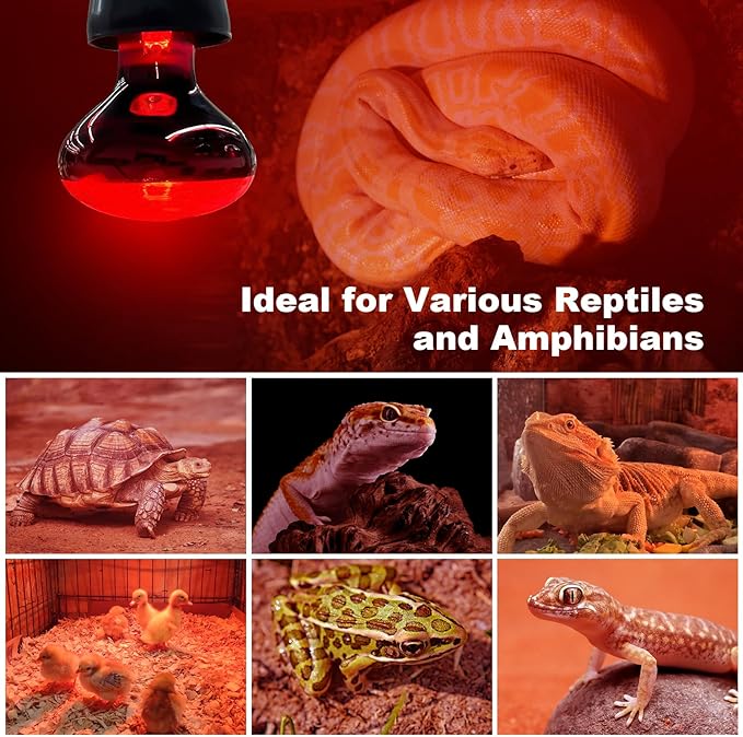 2Pack Infrared Heat Lamp, 150W Reptile Heat Emitter Infrared Basking Spot Light, Red Heat Lamp for Chickens Coop Reptile Pets Brooder Use