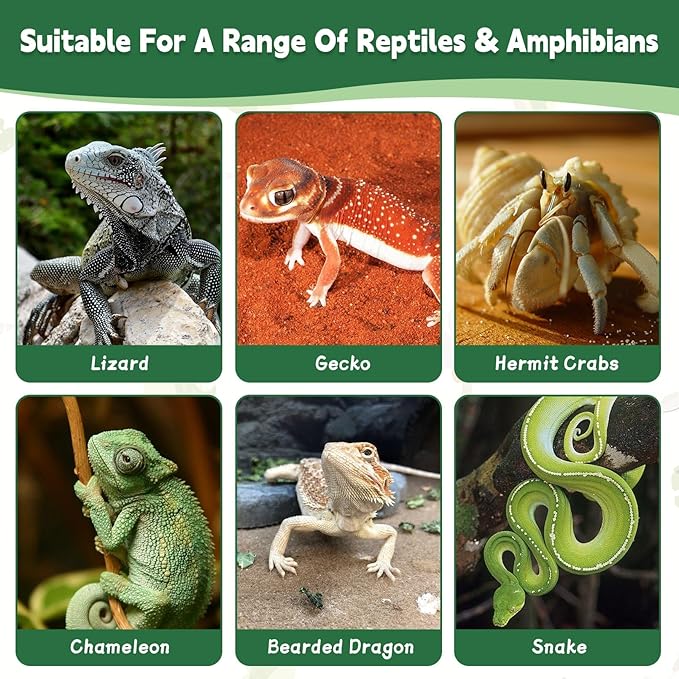 PINVNBY Double Gecko Feeder Bowl Resin Rock Reptile Water Dish with Feeding Cups Gecko Reptile Terrarium Tank Accessories for Bearded Dragons Leopard Lizard Snake Chameleon