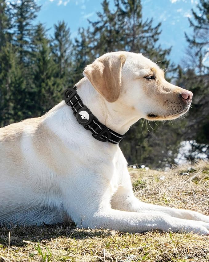 Joytale Airtag Dog Collar, Dual D-Rings, Waterproof Reflective Pet Collar with AirTag Holder, Soft Padded Adjustable for Large Dogs, Black, L