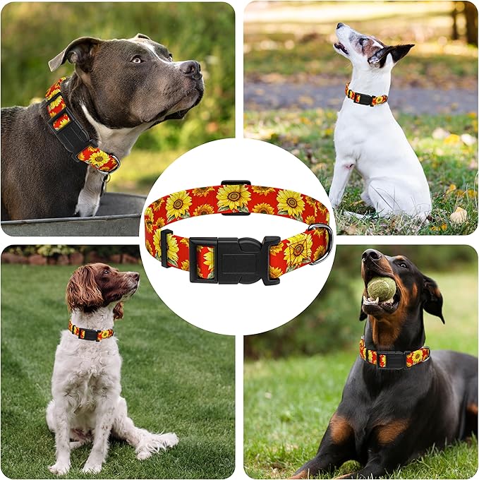 Dog Collar, Floral Boys Girls Puppy Collar for Small Medium Large Dogs, Adjustable Soft Pet Collar with Safety Buckle for Male Females (Red Sunflower, S)