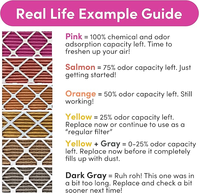 Colorfil 20x24x1 Air Filter (2-Pack) | Made in the USA | Color Changing | Remove Cat and Dog Odor | MERV 8 for Pet Hair Dander and Dust | 19.5"x23.5"x0.75" Exact Size