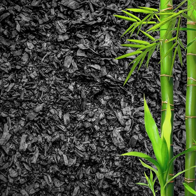 Horticultural Charcoal for Plants β Organic Bio Char Soil Amendment for Terrariums, Indoor Plants & Gardening, Made in USA (15 quarts)