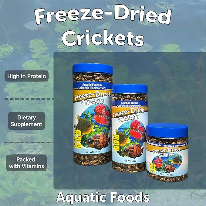 Aquatic Foods Inc. Crickets, Freeze Dried Crickets for Large Tropical Fish, Monster Fish, Reptiles, Turtles, Tortoises, Frogs, Hamsters, Birds, Rodents 3oz Canister
