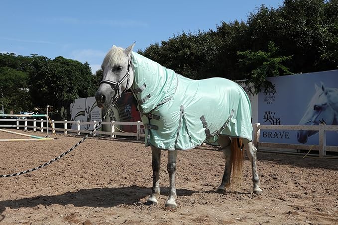 Horse Fly Sheet with Detachable Neck Cover & Belly Wrap, Adjustable Fly Sheet for Horses, Ventilated Airflow Mesh Equine Cooling Summer Flysheet Green 81