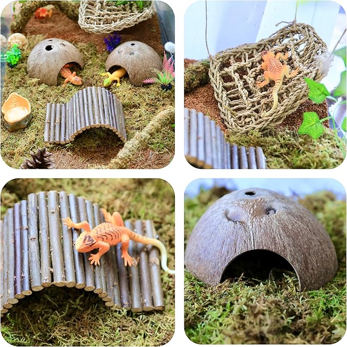 Hermit Crab Accessories β 8PCS Natural Hermit Crab Shells, Coconut Hideout, Climbing Toys Hammock, Moss, Plants & Water Dish, Habitat Decor for Hermit Crabs or Reptile Tank (C-Group-Water Dish).