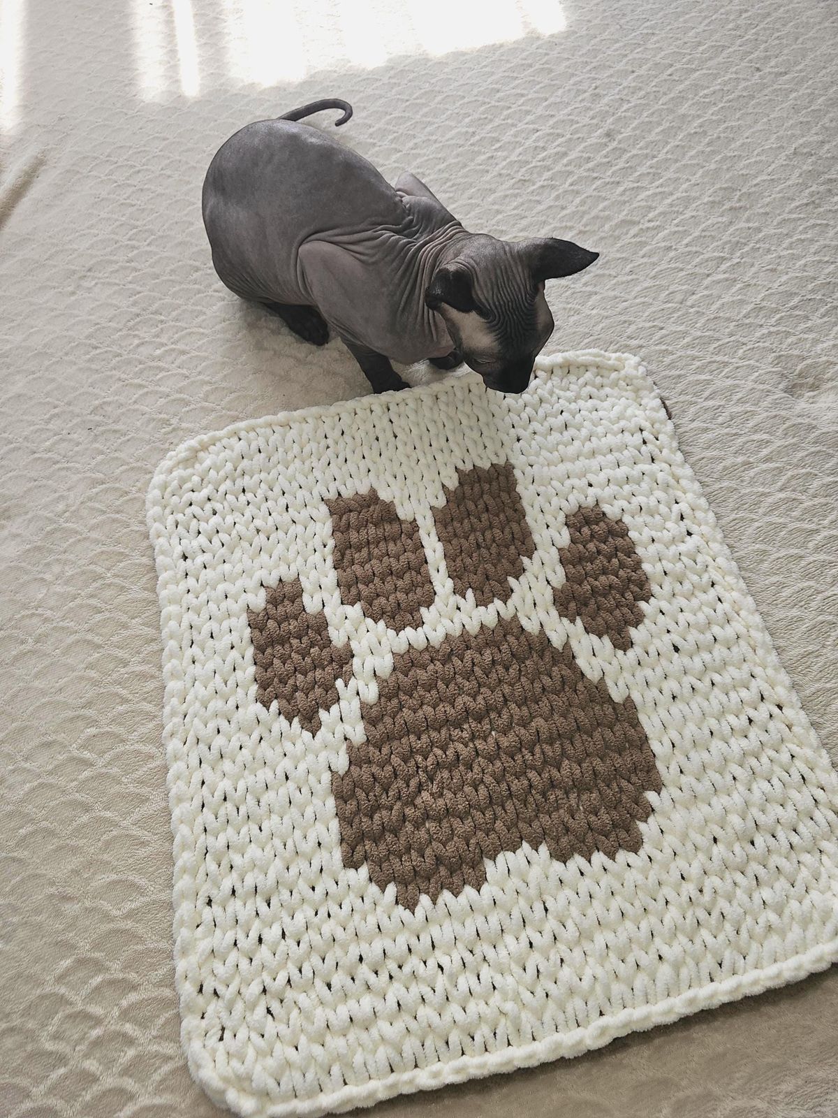 🛋️ Blankets & Mats