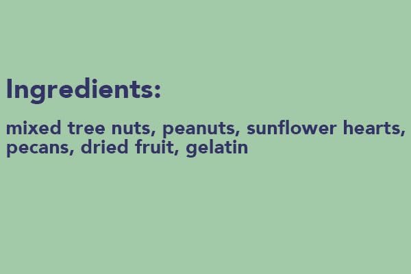 BestNest Pack of 12 Pine Tree Farms Le Petit Nutsie Seed Cakes – 10 oz. Wild Bird Food with Peanuts, Sunflower Hearts & Fruit – Fits Standard Suet Feeders