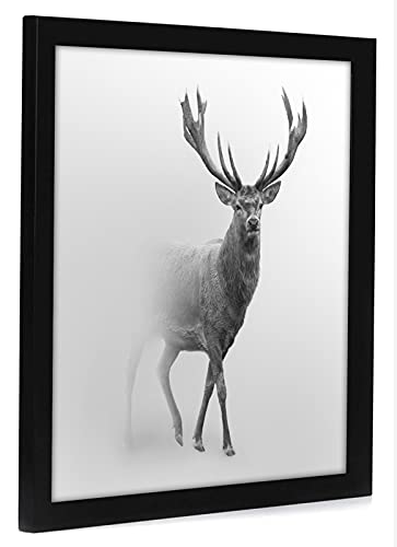 16x16 Picture Frame