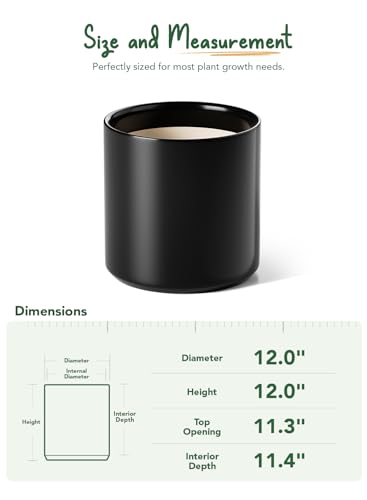 12 Inch Pot for Plants