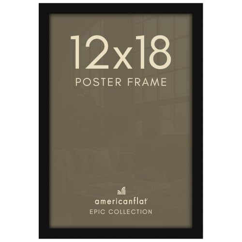 12x18 Poster Frame