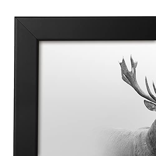 16x16 Picture Frame