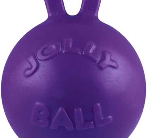 Jolly Pets Tug-n-Toss Heavy Duty Dog Toy Ball with Handle, 4 Inches/Petite, Purple (404 PR)