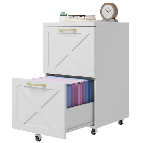 Farmhouse File Cabinet with 2 Drawers