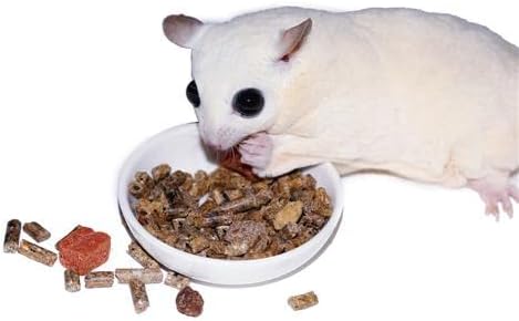 Sugar Glider Superior Food Starter Package - Nutritionally Complete Pellet Diet & High Protein Supplemental Food for Sugar Gliders… (4 Piece Set)