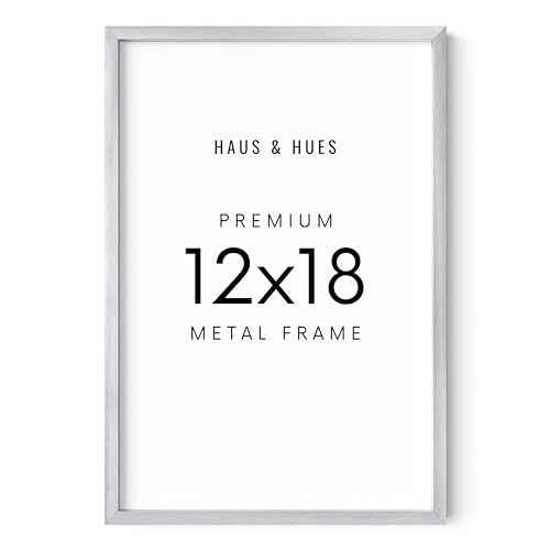 Standalone Silver Aluminum Frame Set of 1