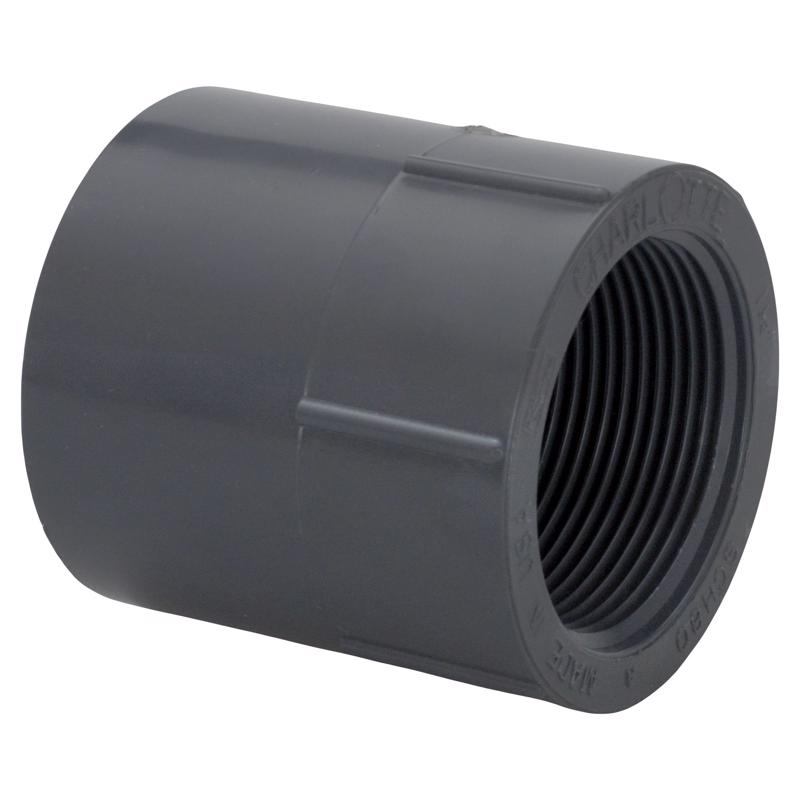 Charlotte Pipe Schedule 80 1-1/4 in. Slip X 1-1/4 in. FPT PVC Pipe Adapter PVC 08101 1600 1 pk