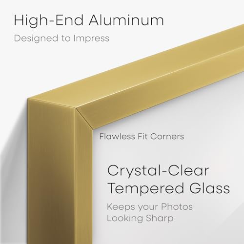 11x14 Gold Diploma Frame (2 Count)