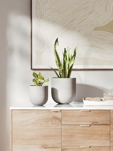 8 Inch Plant Pot
