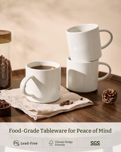 Coffee Mugs Set of 6 (78 Count)