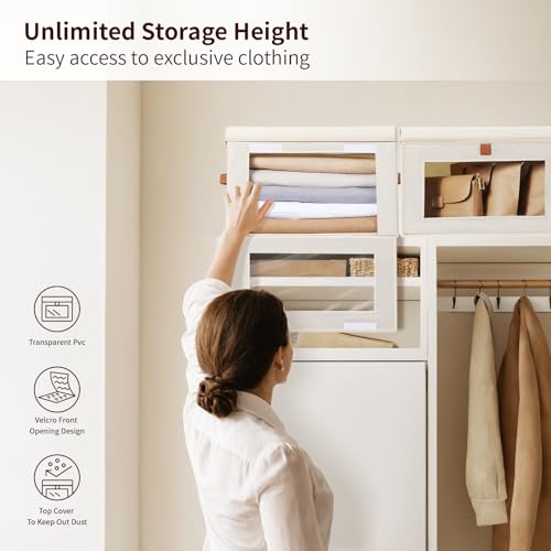 Large Closet Storage Organizer (2 Count)