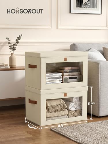 Large Closet Storage Organizer (2 Count)