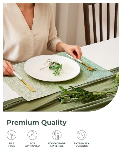 Gradient Green Woven Placemats Set of 4 (3.2 Count)