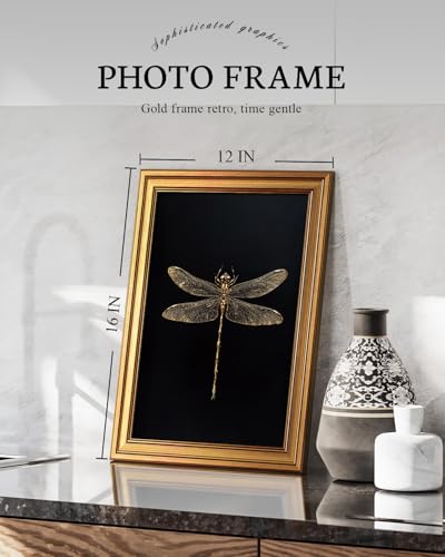 Gold Framed Wall Art