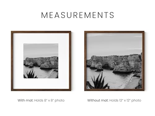 Walnut Square Frames 12x12 Matted to 8x8 (3 Count)