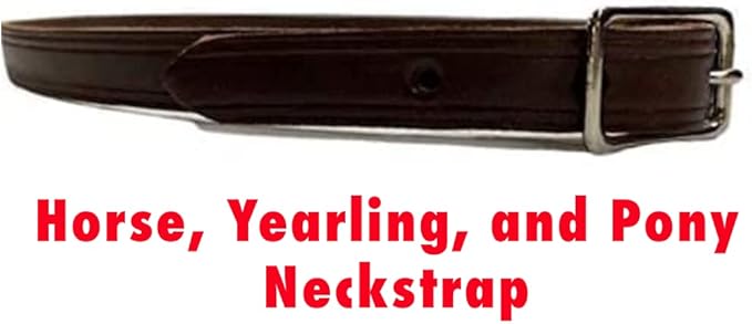 Neck Straps with Custom Engraved Name Plate for Horse| Pony, Horse, Yearling, and Adjustable Light Brown Leather with Brass Plate Optional