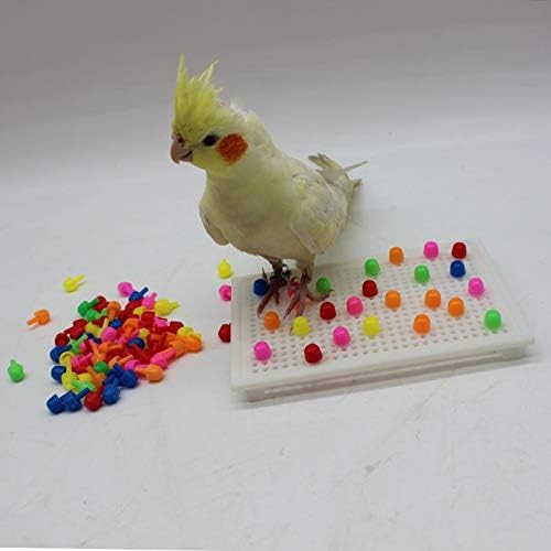 QBLEEV Parrot Puzzle Toys for Parakeets, Cockatiel & Conure - Bird Intelligence Training & Foraging Toys